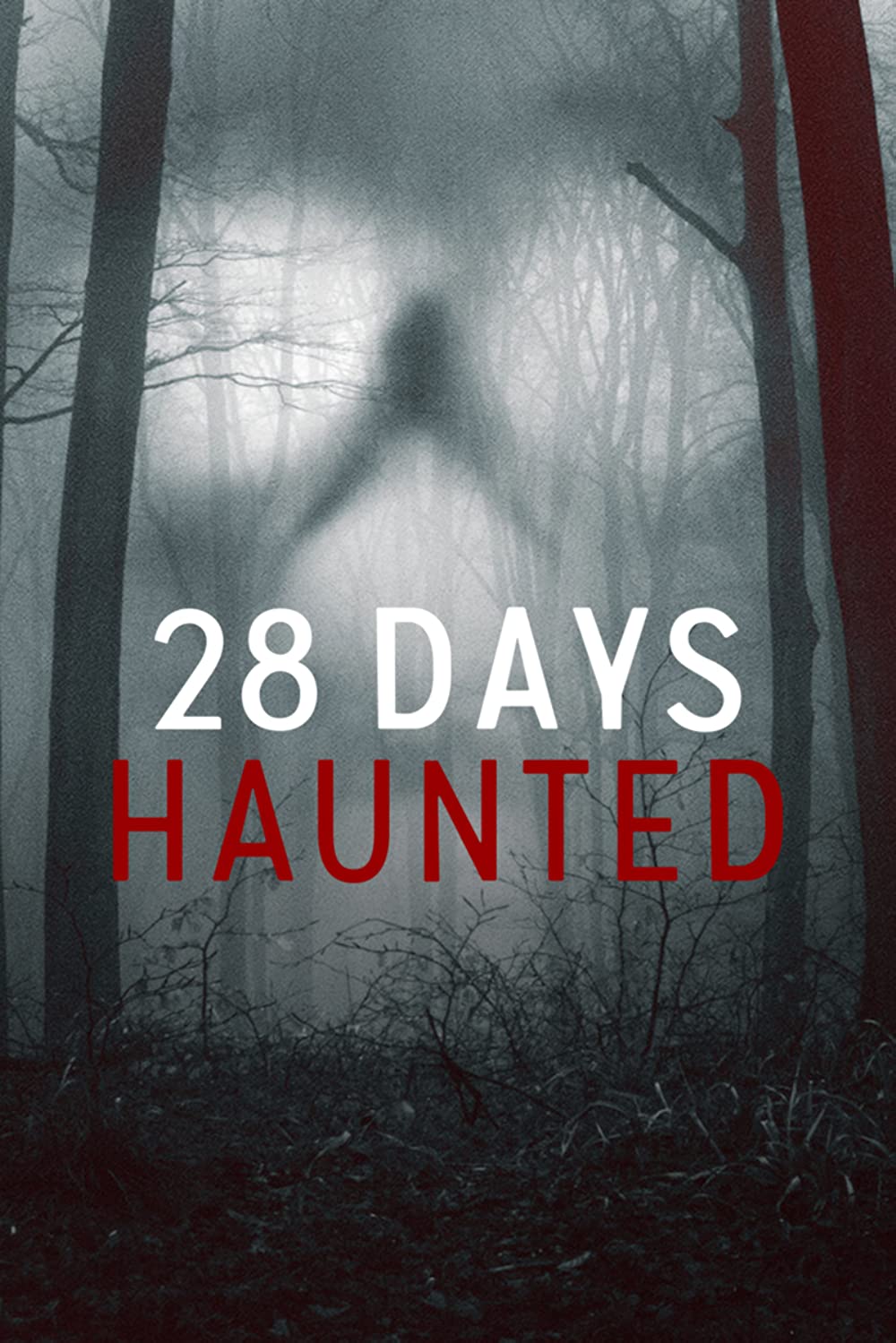 28 Days Haunted (2022)